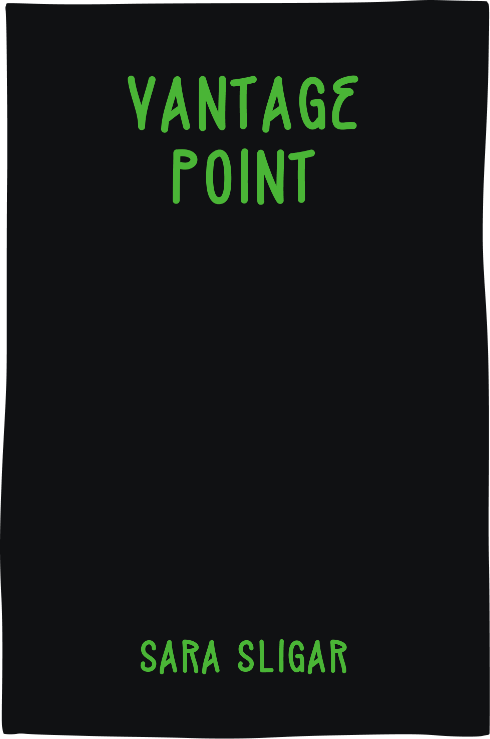 Cover of Vantage Point by Sara Sligar